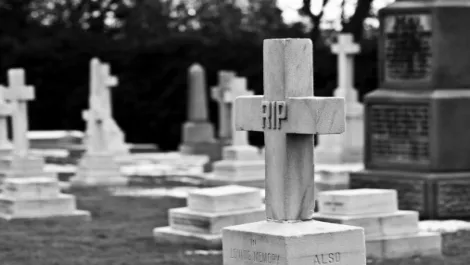 Google Reader is dead, long live the alternatives