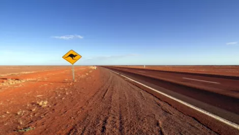 Aussie IT dream not all it seems