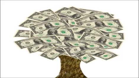 Moneytree