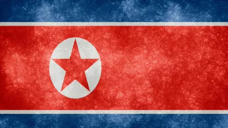 Google urges North Korea to go online