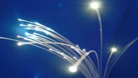 Fibre Watch: Hard Labour