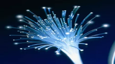 2012: The year of fibre