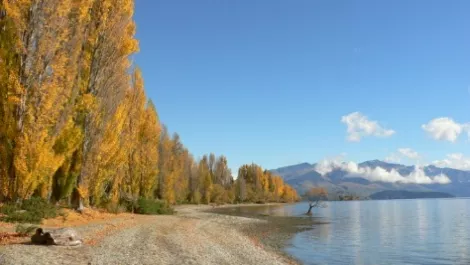 Wanaka: Not part of UFB project, but still fibred up