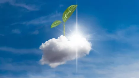 Ingram Micro ups local Cloud Marketplace and cloud services offerings