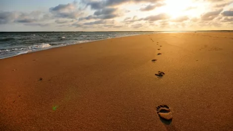 What is your 'digital footprint'?