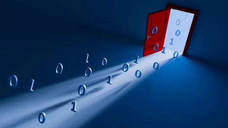 CAUTION: The SSL blind spot is growing
