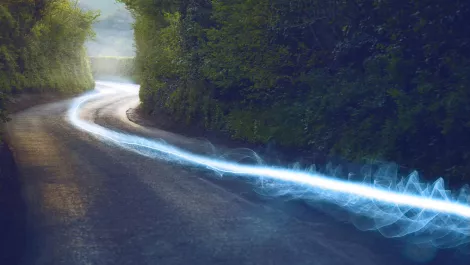 Kiwi businesses thriving with the rollout of Ultra Fast Broadband