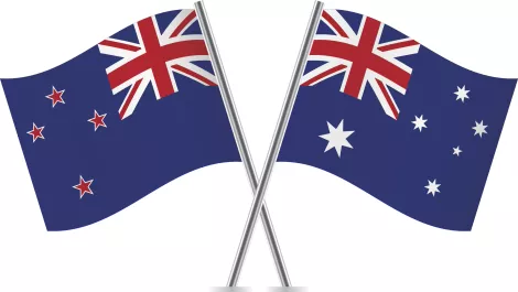 Remesys & Pivot Software announce trans-Tasman merger