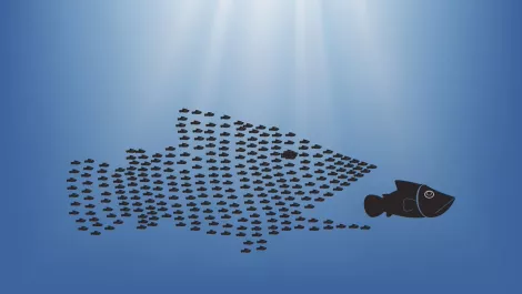 Genesys expands business, swallows up Interactive Intelligence