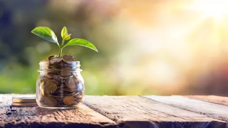 Transforming the financial management processes for better cash flow