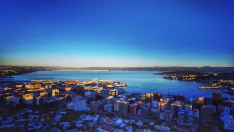 WREDA says NZ's refreshed trade policy is good news for digital exports