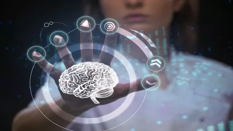 NZ tech experts team up to develop EVs, robots and AI