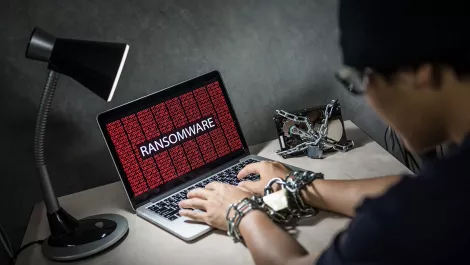 Ransomware: What to do if your business is hit