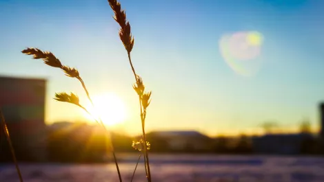 Screen shot 2019 03 07 at 12