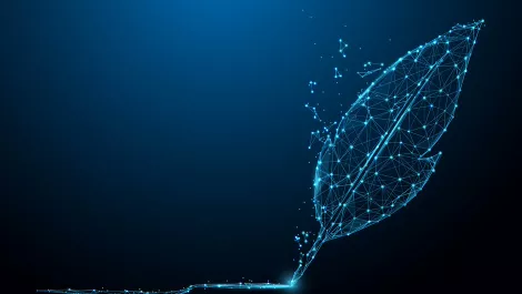 Gettyimages 1018011060