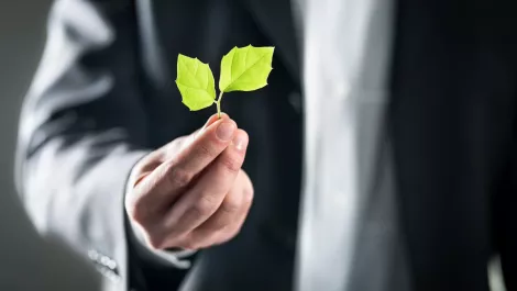 Kiwi startup making waves in electric transport