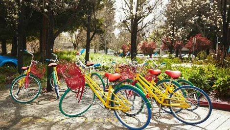 Gle careers scout 00277