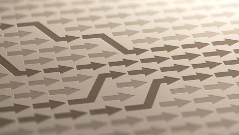 Radware signs on two more clients for DDoS protection