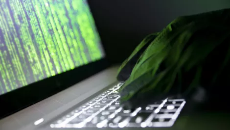 IoT botnets: Perspectives from a residential router
