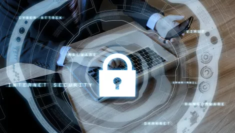 Scam messages on the rise, organisations must take action