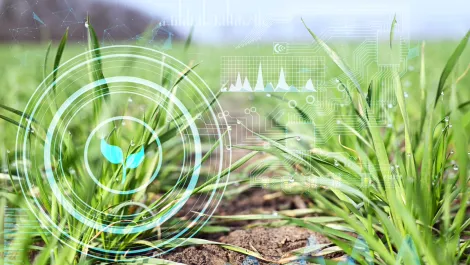 Gettyimages 1318023835