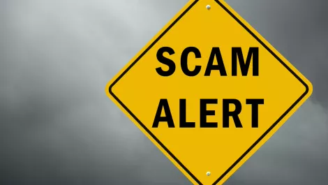 Kiwis being defrauded at record levels since COVID-19 began