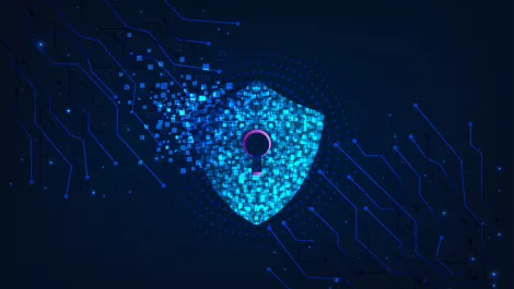 Radware, OneSecure to offer cloud app and DDoS protection