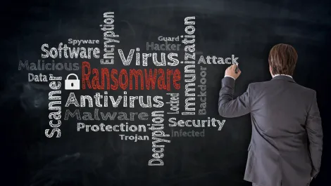 Education sector leaving Australians vulnerable to cyber attacks