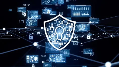 Radware unveils lineup of high-capacity attack mitigation platforms