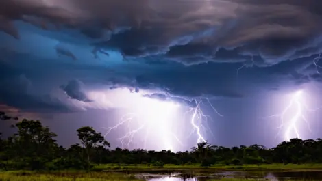 Techday 409505afe98e2c488b2d